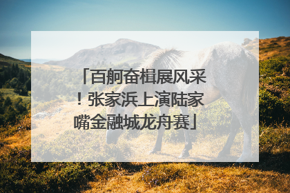 百舸奋楫展风采！张家浜上演陆家嘴金融城龙舟赛