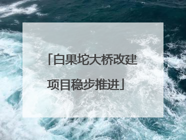 白果坨大桥改建项目稳步推进