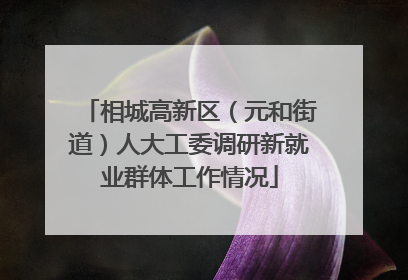 相城高新区（元和街道）人大工委调研新就业群体工作情况