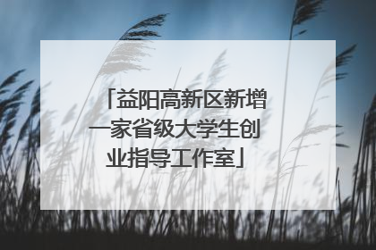 益阳高新区新增一家省级大学生创业指导工作室