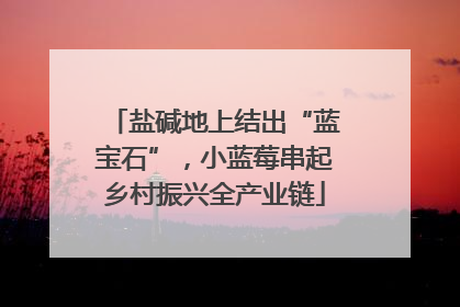盐碱地上结出“蓝宝石”，小蓝莓串起乡村振兴全产业链