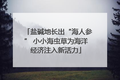 盐碱地长出“海人参” 小小海虫草为海洋经济注入新活力
