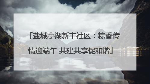 盐城亭湖新丰社区：粽香传情迎端午 共建共享促和谐