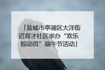盐城市亭湖区大洋街道育才社区举办“欢乐粽动员”端午节活动
