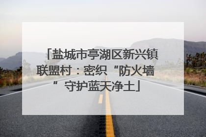 盐城市亭湖区新兴镇联盟村：密织“防火墙”守护蓝天净土