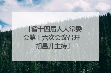 省十四届人大常委会第十六次会议召开 胡昌升主持