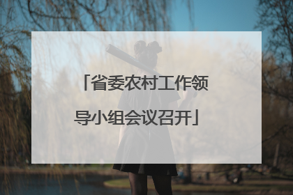 省委农村工作领导小组会议召开