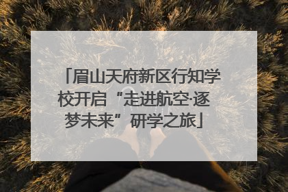 眉山天府新区行知学校开启“走进航空·逐梦未来”研学之旅