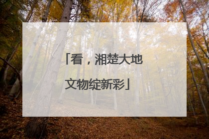看，湘楚大地文物绽新彩