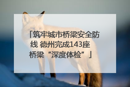 筑牢城市桥梁安全防线 德州完成143座桥梁“深度体检”