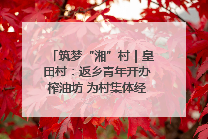 筑梦“湘”村｜皇田村：返乡青年开办榨油坊 为村集体经济“加油”