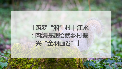 筑梦“湘”村｜江永：肉鸽振翅绘就乡村振兴“金羽画卷”