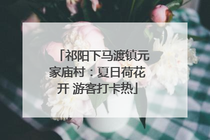 祁阳下马渡镇元家庙村：夏日荷花开 游客打卡热