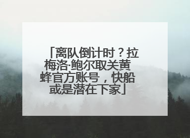 离队倒计时？拉梅洛·鲍尔取关黄蜂官方账号，快船或是潜在下家