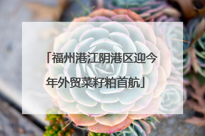 福州港江阴港区迎今年外贸菜籽粕首航