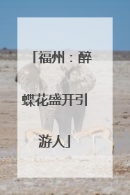 福州：醉蝶花盛开引游人