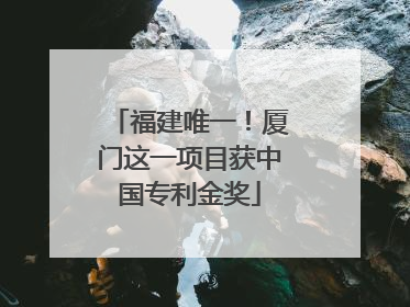 福建唯一！厦门这一项目获中国专利金奖