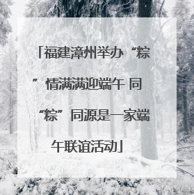 福建漳州举办“粽”情满满迎端午 同“粽”同源是一家端午联谊活动