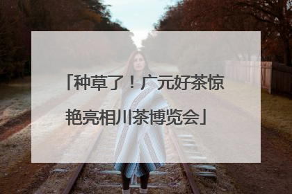 种草了！广元好茶惊艳亮相川茶博览会