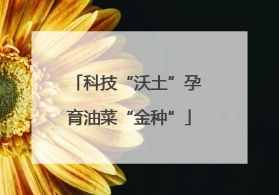 科技“沃土”孕育油菜“金种”