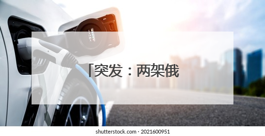 突发：两架俄战机被击中