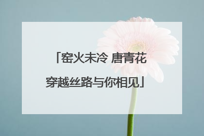 窑火未冷 唐青花穿越丝路与你相见