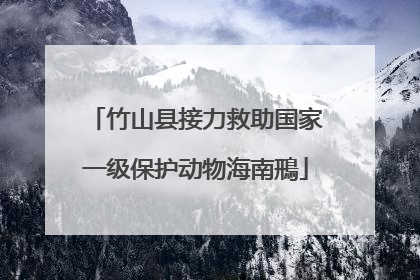 竹山县接力救助国家一级保护动物海南鳽