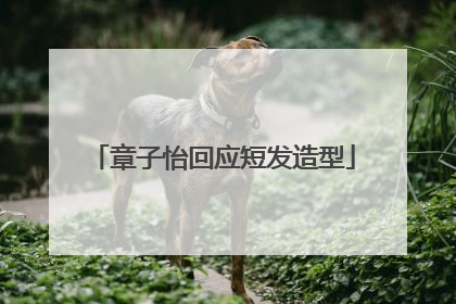 章子怡回应短发造型