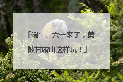 端午、六一来了，黄陂甘露山这样玩！