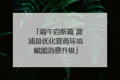 端午启新篇 溆浦县优化营商环境赋能消费升级