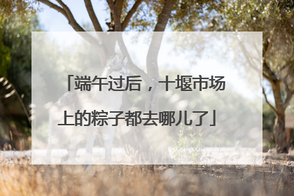 端午过后，十堰市场上的粽子都去哪儿了
