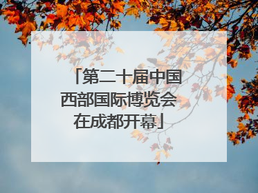 第二十届中国西部国际博览会在成都开幕