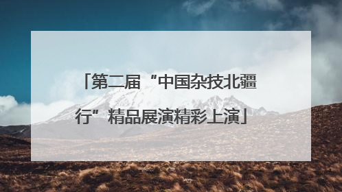 第二届“中国杂技北疆行”精品展演精彩上演