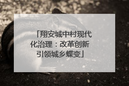 翔安城中村现代化治理：改革创新引领城乡蝶变