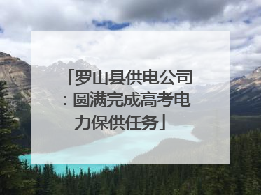 罗山县供电公司：圆满完成高考电力保供任务