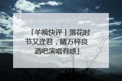 羊晚快评｜落花时节又逢君，睹万梓良酒吧演唱有感