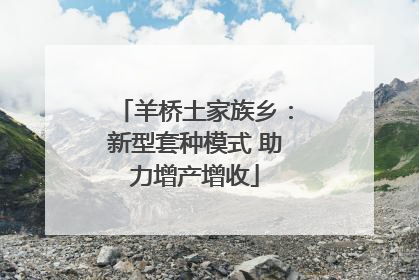 羊桥土家族乡：新型套种模式 助力增产增收