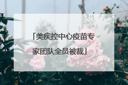 美疾控中心疫苗专家团队全员被裁