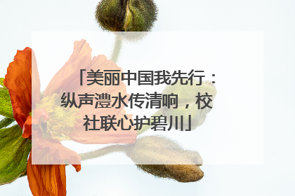 美丽中国我先行：纵声澧水传清响，校社联心护碧川