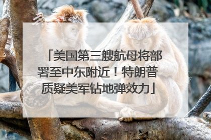 美国第三艘航母将部署至中东附近！特朗普质疑美军钻地弹效力