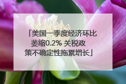 美国一季度经济环比萎缩0.2% 关税政策不确定性拖累增长