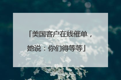 美国客户在线催单，她说：你们得等等