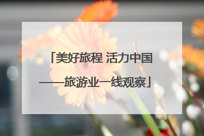 美好旅程 活力中国——旅游业一线观察