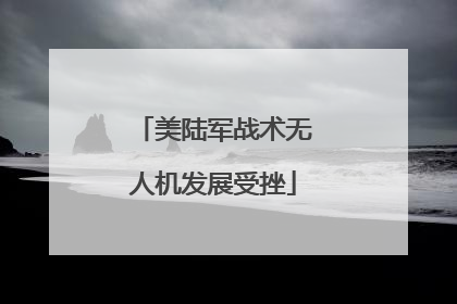 美陆军战术无人机发展受挫
