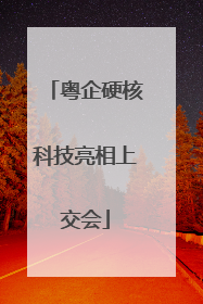 粤企硬核科技亮相上交会