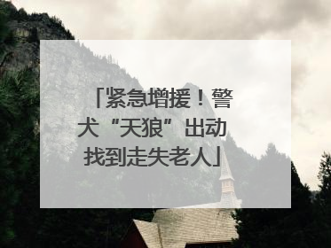 紧急增援！警犬“天狼”出动找到走失老人