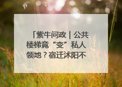 紫牛问政｜公共楼梯竟“变”私人领地？宿迁沭阳不动产登记引质疑