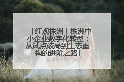 红观株洲丨株洲中小企业数字化转型：从试点破局到生态重构的进阶之路