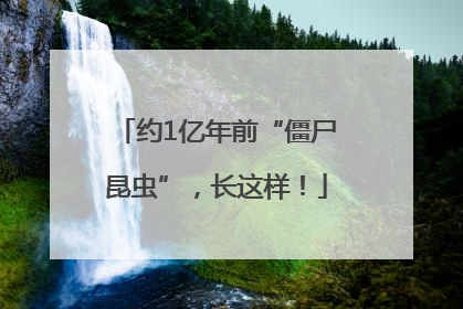 约1亿年前“僵尸昆虫”，长这样！