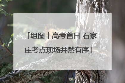 组图丨高考首日 石家庄考点现场井然有序